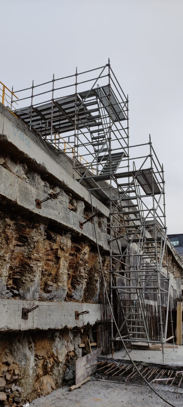 mperium Merdiven Orman İstanbul